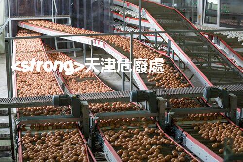 <strong>天津危廢處理企業(yè)電話(huà)危險(xiǎn)廢棄物處理的專(zhuān)業(yè)之道？</strong>